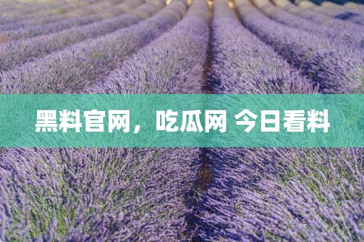 黑料官网，吃瓜网 今日看料