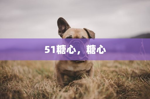 51糖心，糖心