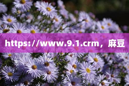 https://www.9.1.crm，麻豆