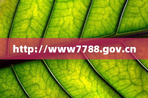 http://www7788.gov.cn