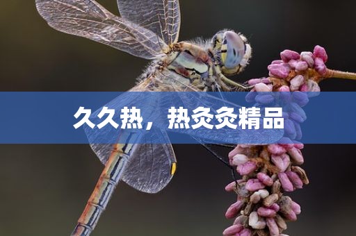 久久热，热灸灸精品