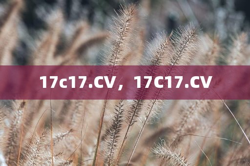 17c17.CV，17C17.CV