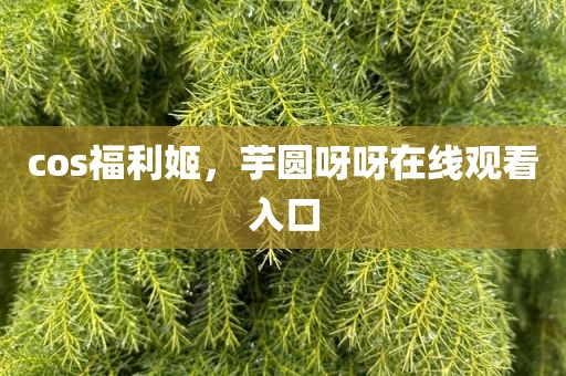 cos福利姬，芋圆呀呀在线观看入口