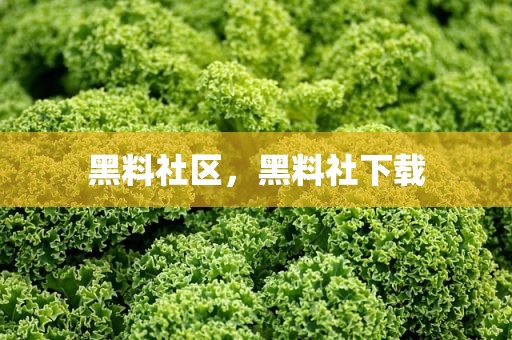 黑料社区，黑料社下载