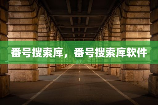 番号搜索库，番号搜索库软件