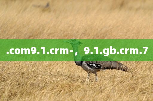 .com9.1.crm-，9.1.gb.crm.7