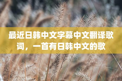 最近日韩中文字幕中文翻译歌词，一首有日韩中文的歌