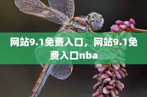 网站9.1免费入口，网站9.1免费入口nba