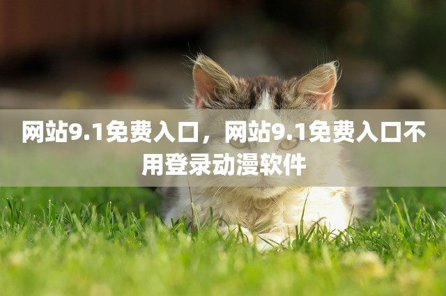 网站9.1免费入口，网站9.1免费入口不用登录动漫软件