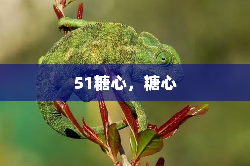 51糖心，糖心