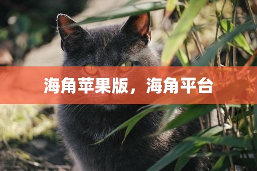 海角苹果版，海角平台