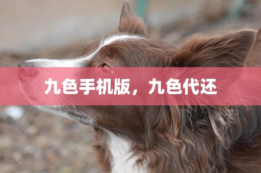 九色手机版，九色代还