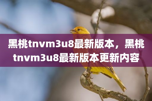 黑桃tnvm3u8最新版本，黑桃tnvm3u8最新版本更新内容