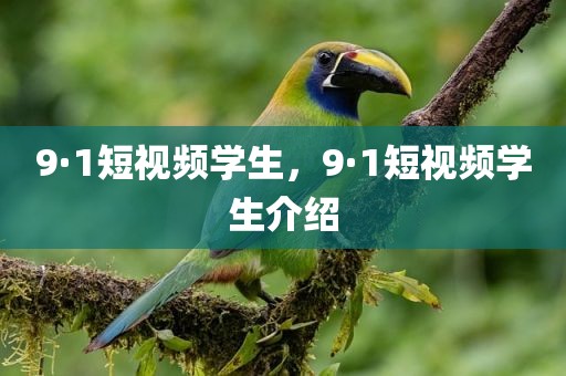 9·1短视频学生，9·1短视频学生介绍