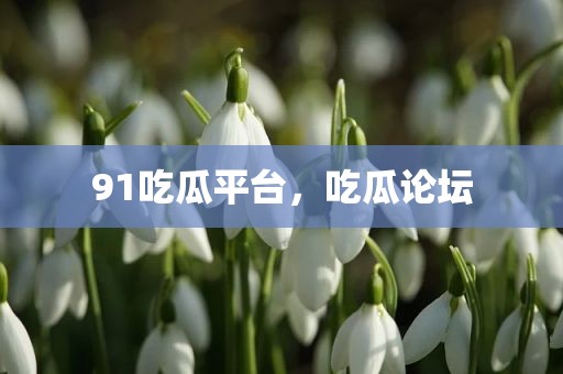 91吃瓜平台，吃瓜论坛