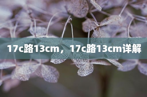 17c路13cm，17c路13cm详解