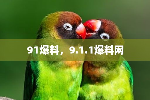 91爆料，9.1.1爆料网