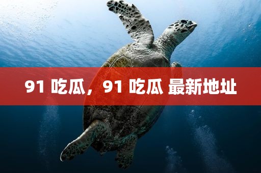 91 吃瓜，91 吃瓜 最新地址