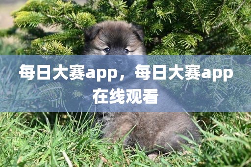 每日大赛app，每日大赛app在线观看