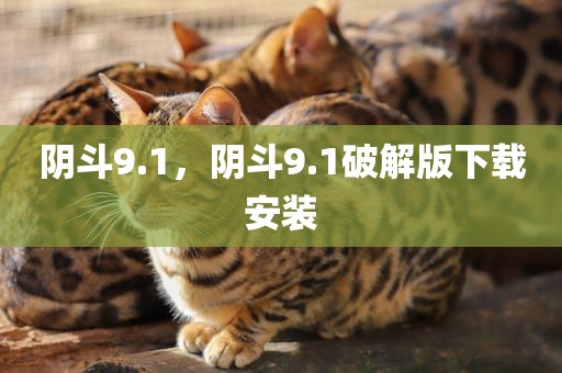 阴斗9.1，阴斗9.1破解版下载安装
