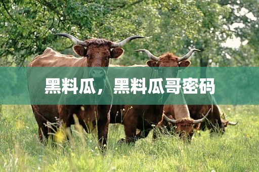 黑料瓜，黑料瓜哥密码
