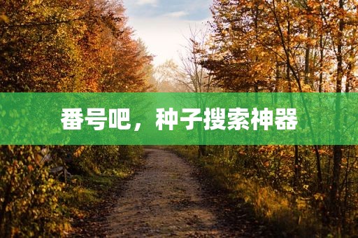 番号吧，种子搜索神器