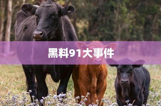 黑料91大事件