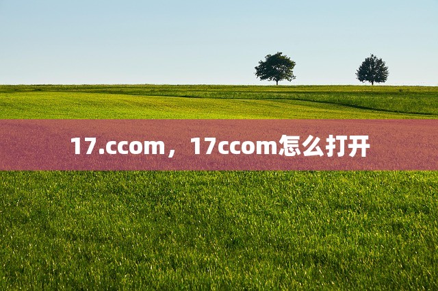 17.ccom，17ccom怎么打开