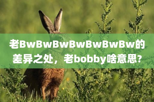 老BwBwBwBwBwBwBw的差异之处，老bobby啥意思?