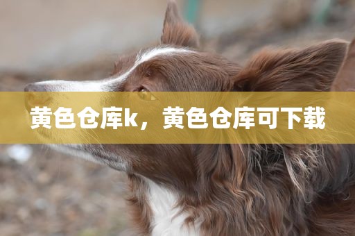 黄色仓库k，黄色仓库可下载
