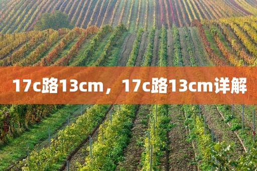 17c路13cm，17c路13cm详解