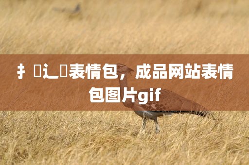 扌喿辶畐表情包，成品网站表情包图片gif