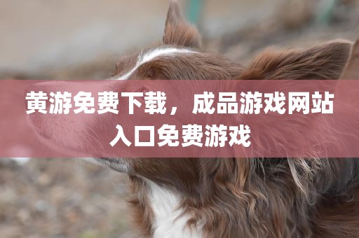 黄游免费下载，成品游戏网站入口免费游戏