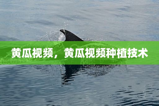 黄瓜视频，黄瓜视频种植技术