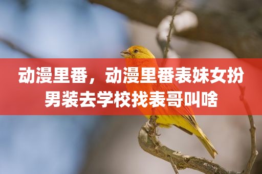 动漫里番，动漫里番表妹女扮男装去学校找表哥叫啥
