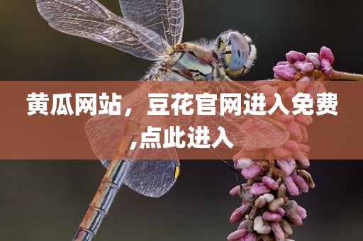 黄瓜网站，豆花官网进入免费,点此进入