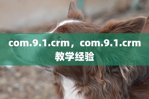 com.9.1.crm，com.9.1.crm教学经验