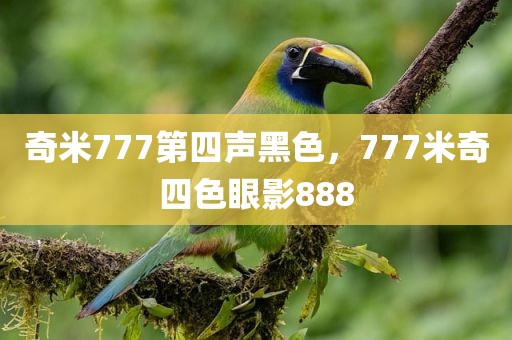 奇米777第四声黑色，777米奇四色眼影888