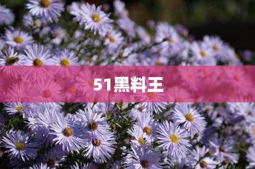 51黑料王