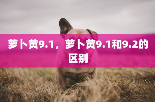 萝卜黄9.1，萝卜黄9.1和9.2的区别