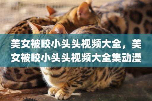 美女被咬小头头视频大全，美女被咬小头头视频大全集动漫