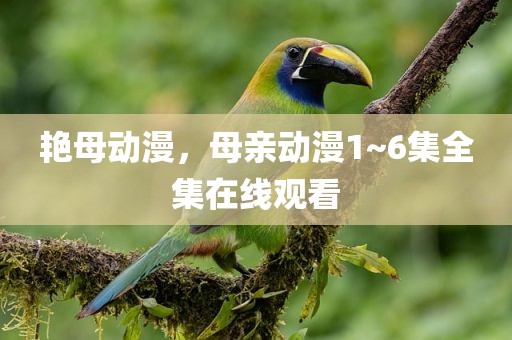艳母动漫，母亲动漫1~6集全集在线观看