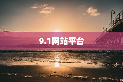 9.1网站平台
