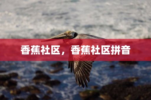 香蕉社区，香蕉社区拼音