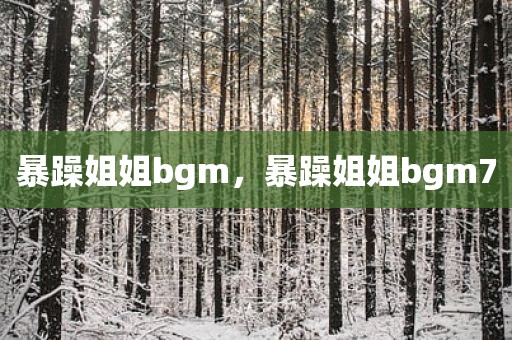 暴躁姐姐bgm，暴躁姐姐bgm7