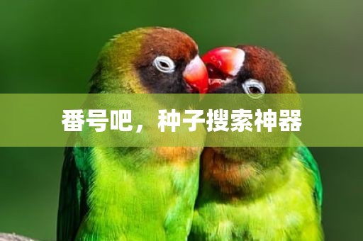 番号吧，种子搜索神器