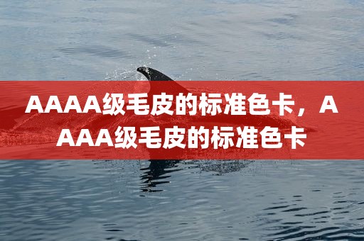 AAAA级毛皮的标准色卡，AAAA级毛皮的标准色卡