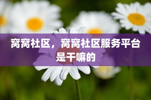 窝窝社区，窝窝社区服务平台是干嘛的