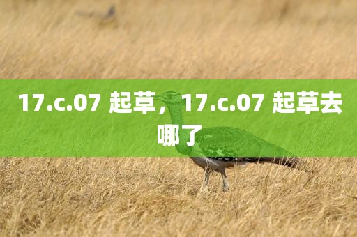 17.c.07 起草，17.c.07 起草去哪了
