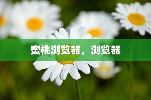 蜜桃浏览器，浏览器